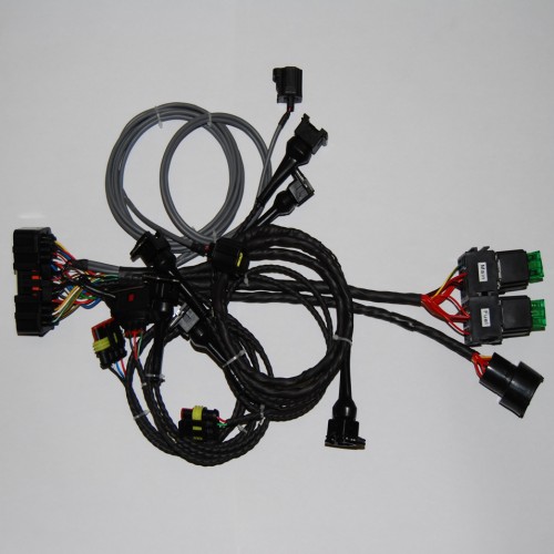 Emerald Full Ecu Wiring Loom Harness For Ford Duratec