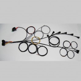 6 Cylinder wiring loom (harness) for Emerald aftermarket standalone K6 ECU (engine management system)