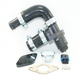 Emerald's Jaguar V12 IACV Conversion (OE Manifold)1