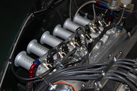 with Jenvey's & EMR ALI's