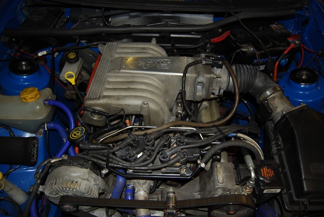 Wolf in sheeps clothing